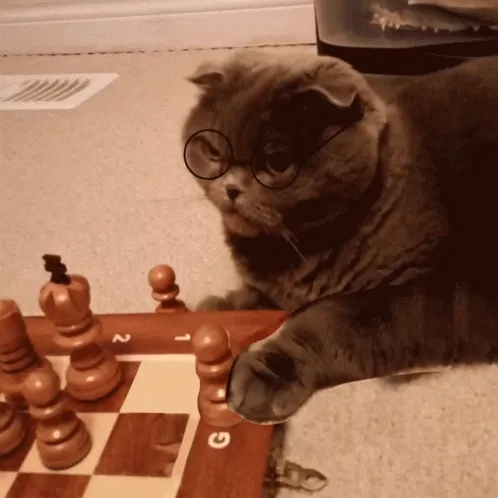 Actual footage of my brain on chess